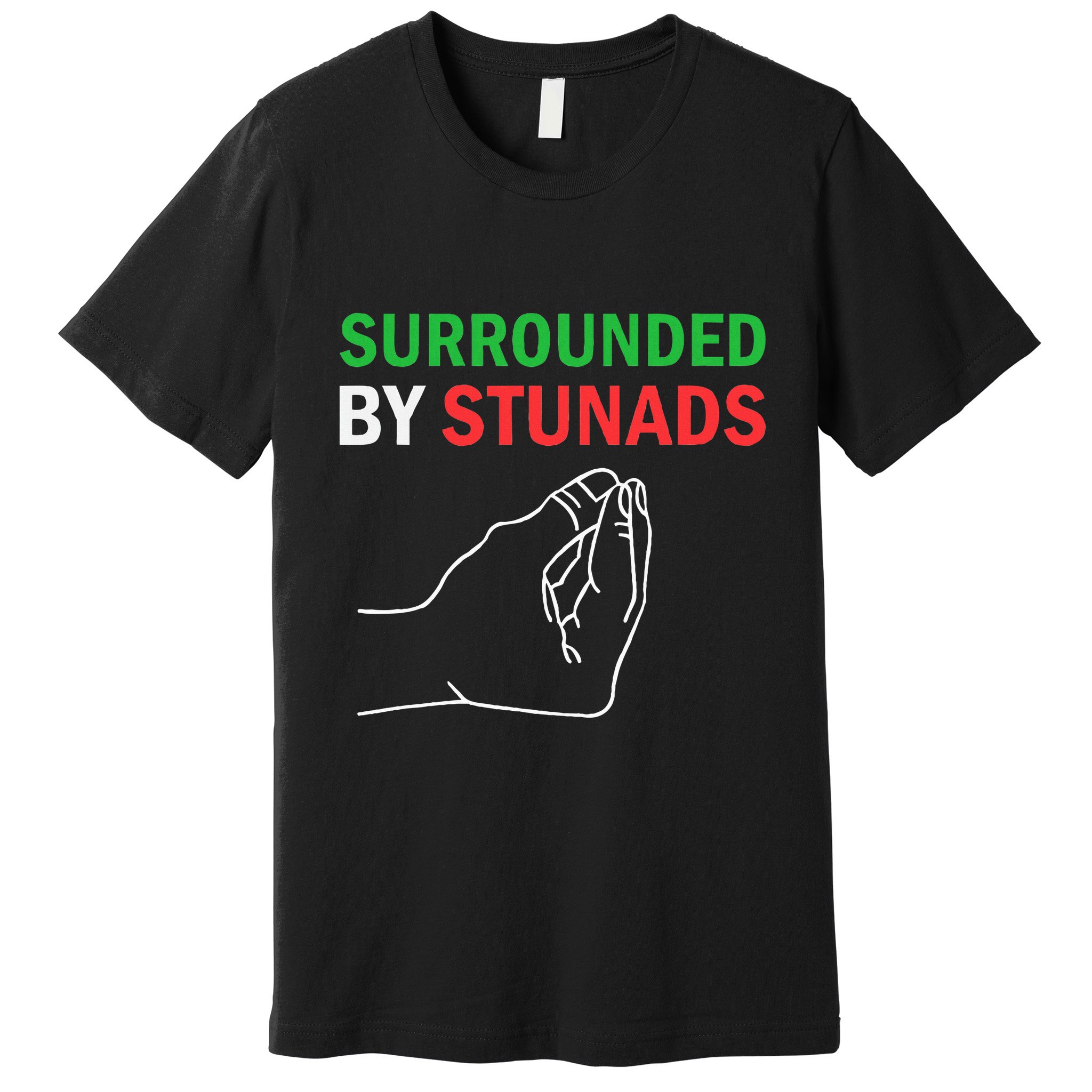 Surrounded By Stunads Funny Italian Sayings Premium T-Shirt