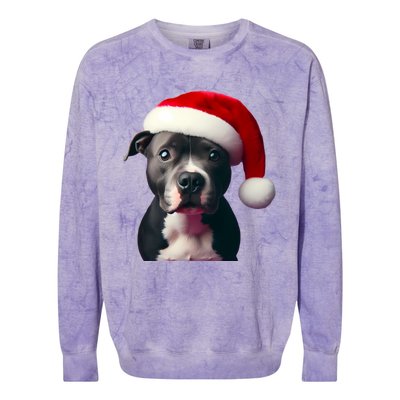 Staffordshire Bull Terrier With Santa Hat Christmas Dog Mom Funny Gift Colorblast Crewneck Sweatshirt