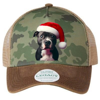 Staffordshire Bull Terrier With Santa Hat Christmas Dog Mom Funny Gift Legacy Tie Dye Trucker Hat