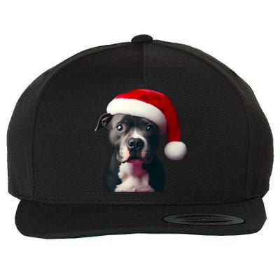 Staffordshire Bull Terrier With Santa Hat Christmas Dog Mom Funny Gift Wool Snapback Cap