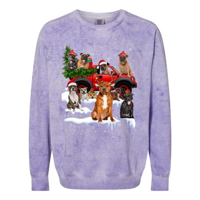 Staffordshire Bull Terrier Red Truck Christmas Tree Santa Gift Colorblast Crewneck Sweatshirt