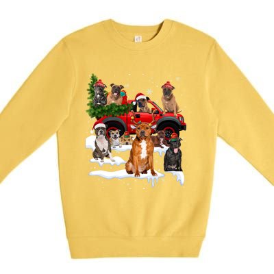 Staffordshire Bull Terrier Red Truck Christmas Tree Santa Gift Premium Crewneck Sweatshirt