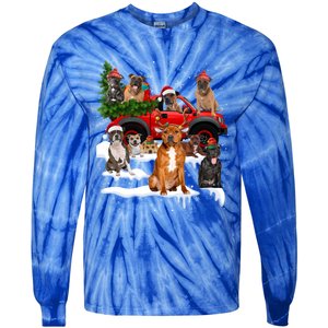 Staffordshire Bull Terrier Red Truck Christmas Tree Santa Gift Tie-Dye Long Sleeve Shirt