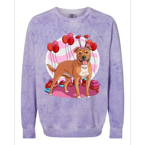 Staffordshire Bull Terrier Heart Valentine Day Decor Gift Colorblast Crewneck Sweatshirt