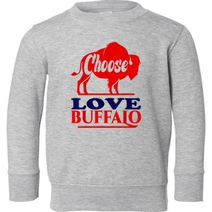 Strong Buffalo USA Pray For Buffalo Toddler Sweatshirt