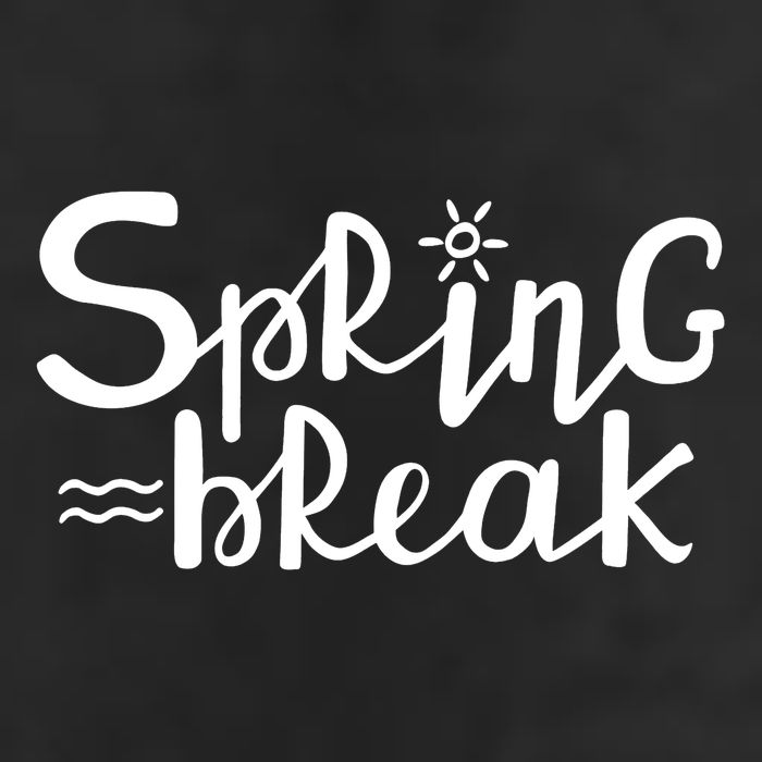 Spring Break Vacation Gift Adult Drive Performance Visor