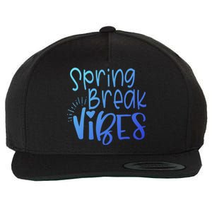 Spring Break Vibes Vacation Saying Fun In The Sun Gift Wool Snapback Cap