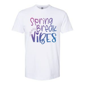 Spring Break Vibes Vacation Saying Fun In The Sun Gift Softstyle CVC T-Shirt