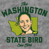 Sue Bird Washington Bird Seattle Basketball 7-Panel Snapback Hat