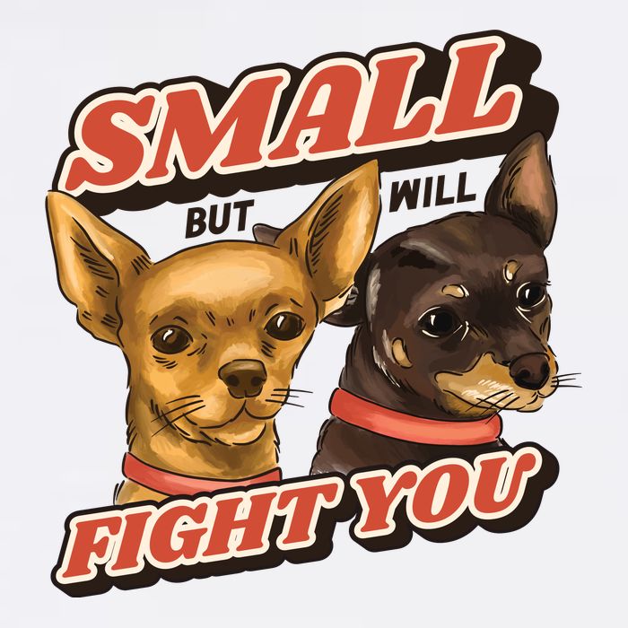 Small But Will Fight You Puppy Womens T-Shirt