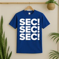 Sec Champs 2024 Baseball T-Shirt