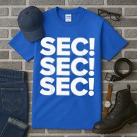 Sec Champs 2024 Baseball Tall T-Shirt