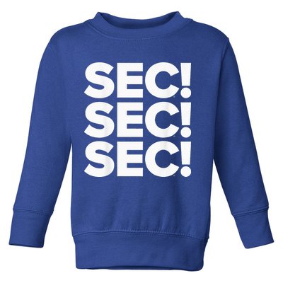 Sec Champs 2024 Baseball Toddler Sweatshirt