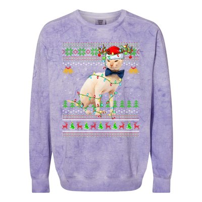 Sphynx Cat Animal Lover Xmas Santa Sphynx Cat Ugly Christmas Gift Colorblast Crewneck Sweatshirt