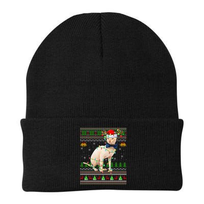 Sphynx Cat Animal Lover Xmas Santa Sphynx Cat Ugly Christmas Gift Beanie