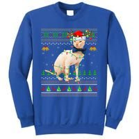 Sphynx Cat Animal Lover Xmas Santa Sphynx Cat Ugly Christmas Gift Sweatshirt