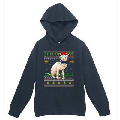 Sphynx Cat Animal Lover Xmas Santa Sphynx Cat Ugly Christmas Gift Urban Pullover Hoodie