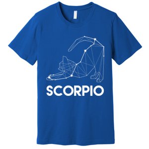 Scorpio Cat Astrology Sign Gift Premium T-Shirt