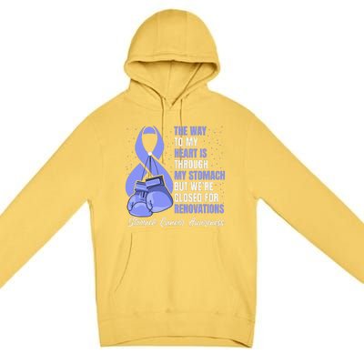 Stomach Cancer Awareness Warrior Periwinkle Ribbon Premium Pullover Hoodie