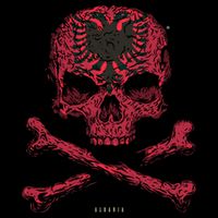 Skull Crossbones Albania Flag Skeleton Albanian Heart Great Gift Cooling Performance Long Sleeve Crew