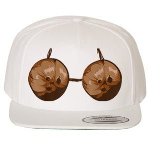 Summer Coconut Bra Halloween Costume Funny Outfit Wool Snapback Cap