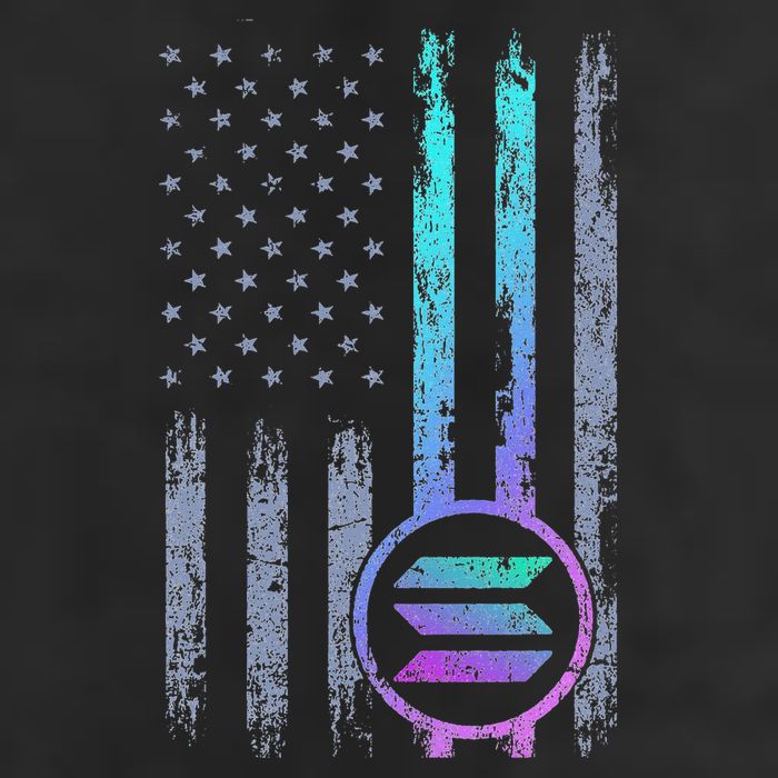 Solana Crypto Blockchain Solana Coin Distressed Usa Flag Premium Pullover Hoodie