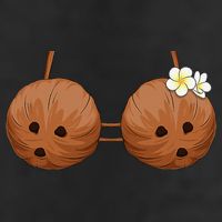 Summer Coconut Bra Halloween Costume Hawaii Aloha Beach Hat