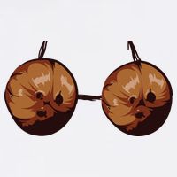 Summer Coconut Bra Halloween Costume Shirt Funny Outfit Gift T-Shirt