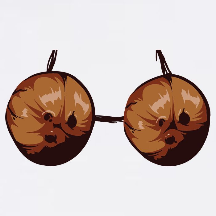 Summer Coconut Bra Halloween Costume Shirt Funny Outfit Gift T-Shirt