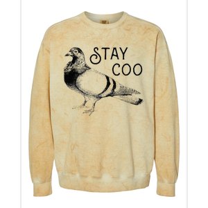 Stay Coo Bird Birding Funny Cool Pigeons Colorblast Crewneck Sweatshirt