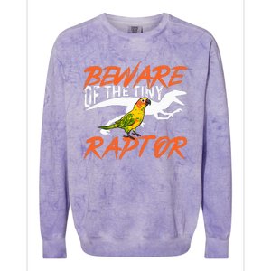 Sun Conure Beware Of The Tiny Raptor Parrot Bird Conure Colorblast Crewneck Sweatshirt