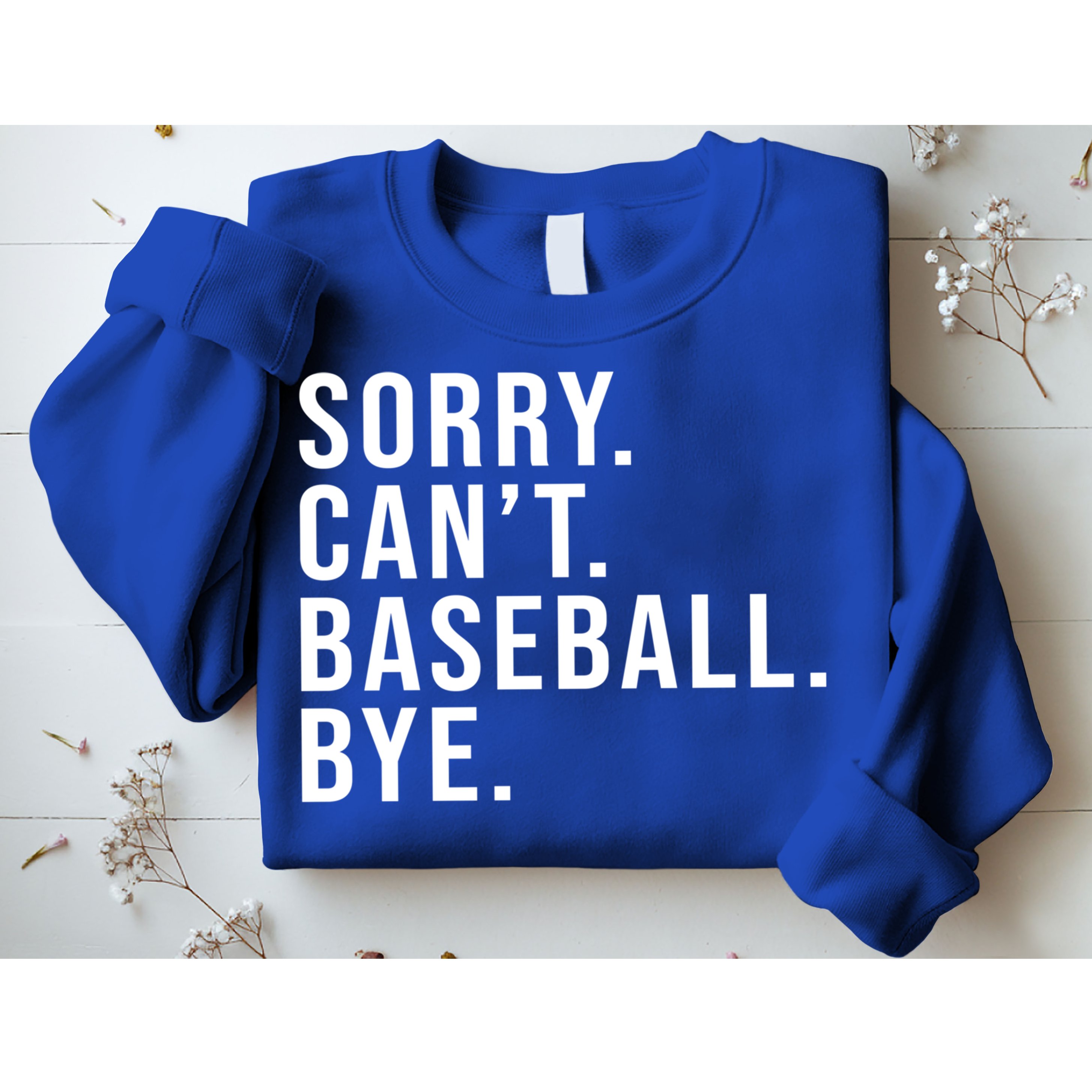 Sorry Can't Baseball Bye Funny Baseball Lover Game Day Vibes Gift Sweatshirt