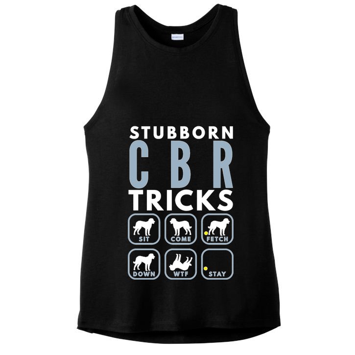 Stubborn Chesapeake Bay Retriever Tricks Dog Training Long Sleeve Ladies PosiCharge Tri-Blend Wicking Tank