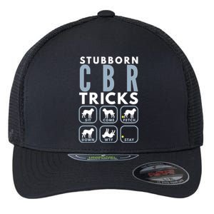 Stubborn Chesapeake Bay Retriever Tricks Dog Training Long Sleeve Flexfit Unipanel Trucker Cap