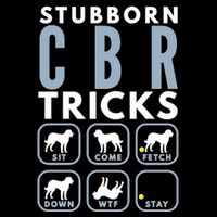Stubborn Chesapeake Bay Retriever Tricks Dog Training Long Sleeve Flexfit Unipanel Trucker Cap