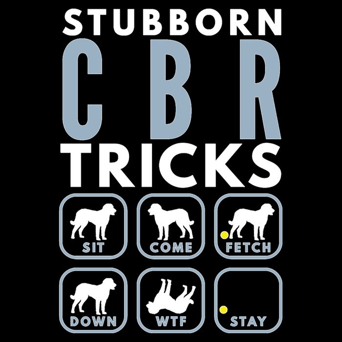 Stubborn Chesapeake Bay Retriever Tricks Dog Training Long Sleeve Flexfit Unipanel Trucker Cap