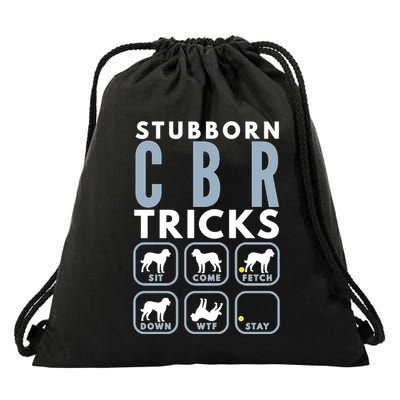 Stubborn Chesapeake Bay Retriever Tricks Dog Training Long Sleeve Drawstring Bag