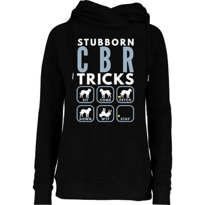 Stubborn Chesapeake Bay Retriever Tricks Dog Training Long Sleeve Womens Funnel Neck Pullover Hood