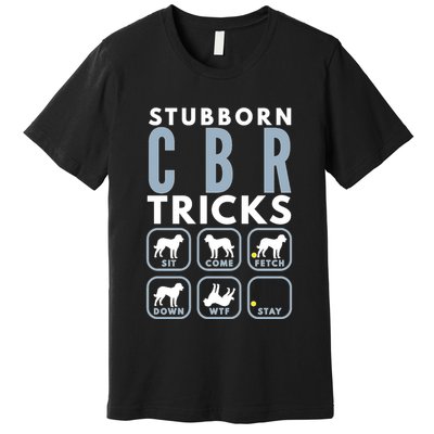 Stubborn Chesapeake Bay Retriever Tricks Dog Training Long Sleeve Premium T-Shirt