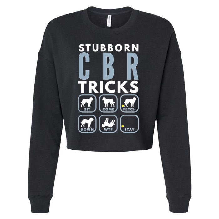 Stubborn Chesapeake Bay Retriever Tricks Dog Training Long Sleeve Cropped Pullover Crew