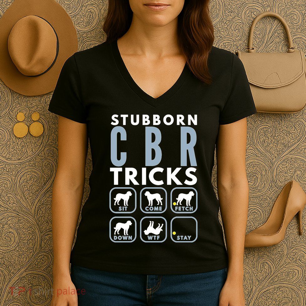 Stubborn Chesapeake Bay Retriever Tricks Dog Training Long Sleeve Women's V-Neck T-Shirt