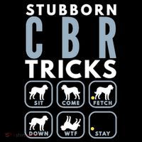 Stubborn Chesapeake Bay Retriever Tricks Dog Training Long Sleeve Women's V-Neck T-Shirt