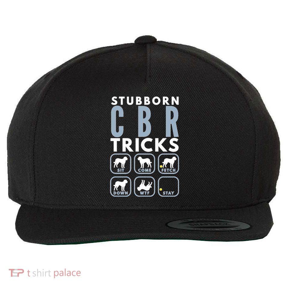 Stubborn Chesapeake Bay Retriever Tricks Dog Training Long Sleeve Wool Snapback Cap