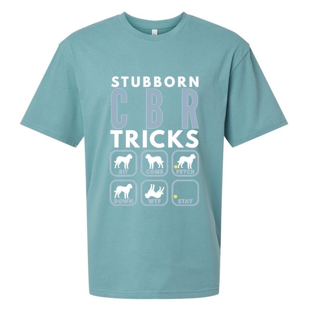 Stubborn Chesapeake Bay Retriever Tricks Dog Training Long Sleeve Sueded Cloud Jersey T-Shirt