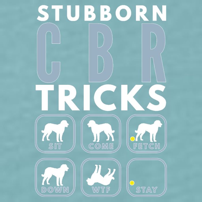 Stubborn Chesapeake Bay Retriever Tricks Dog Training Long Sleeve Sueded Cloud Jersey T-Shirt