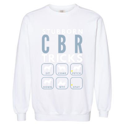 Stubborn Chesapeake Bay Retriever Tricks Dog Training Long Sleeve Garment-Dyed Sweatshirt