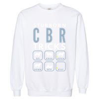 Stubborn Chesapeake Bay Retriever Tricks Dog Training Long Sleeve Garment-Dyed Sweatshirt