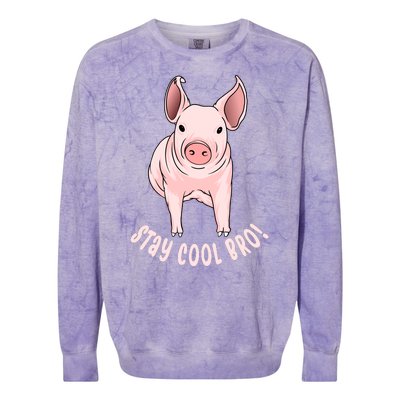 Stay Cool Bro Colorblast Crewneck Sweatshirt