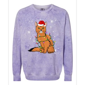 Somali Cat Christmas Lights Christmas Cat Santa Hat Colorblast Crewneck Sweatshirt