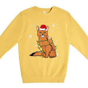 Somali Cat Christmas Lights Christmas Cat Santa Hat Premium Crewneck Sweatshirt